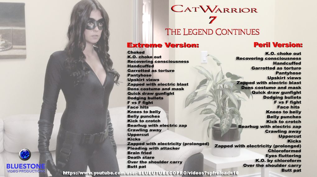 Catwarrior 7 The Legend Continues postersm.jpg
