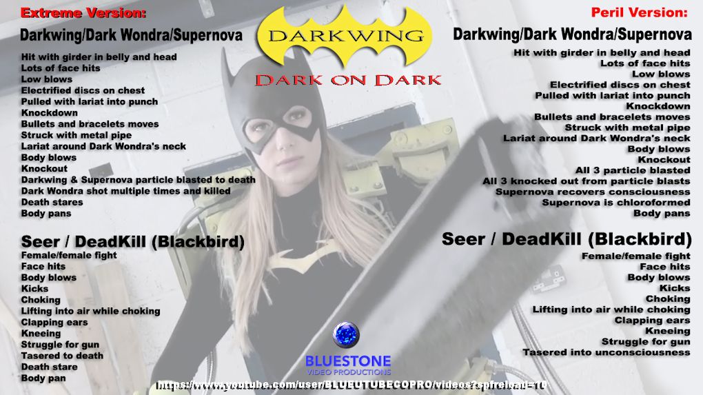 Darkwing 11 Dark on Dark postersm.jpg