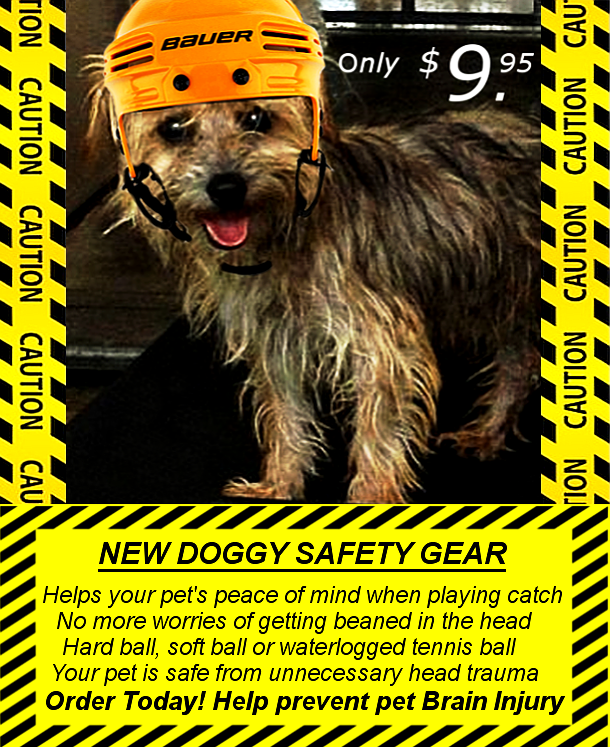 New Doggy Safety Gear.png