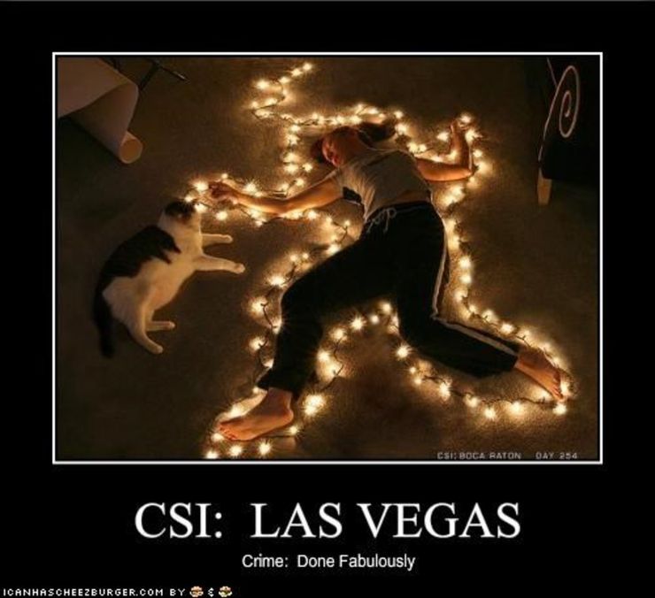 csi-las-vegas-meme-cat-christmas-lights-body.jpg
