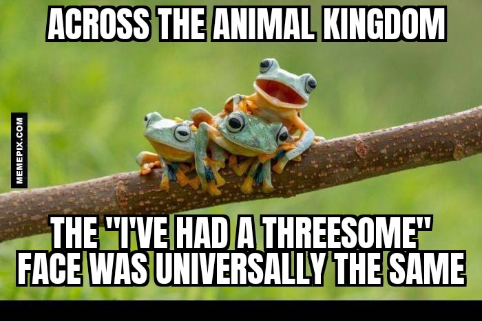 ZomboMeme frogs.jpg