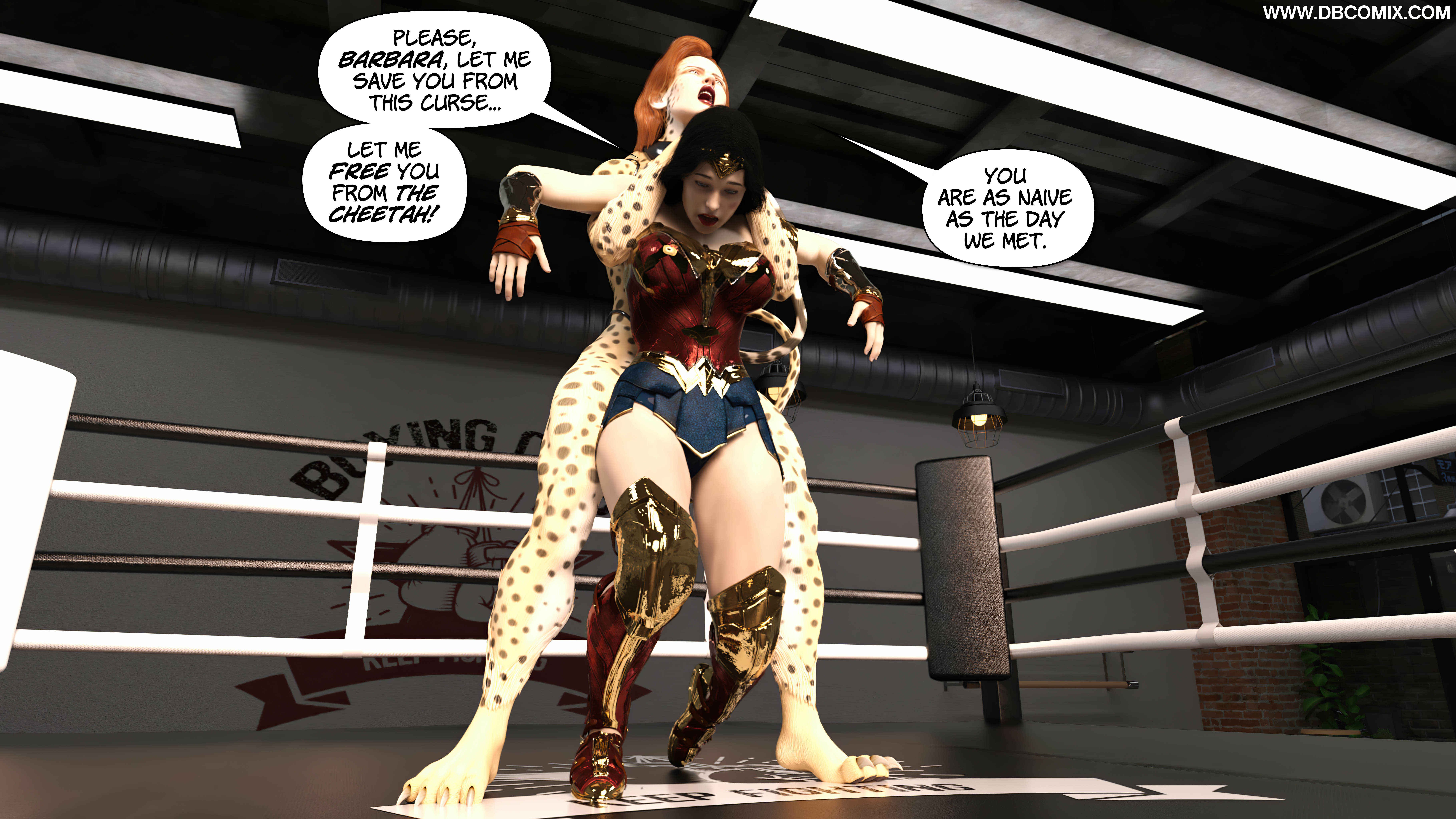 Wonder Woman vs Cheetah.jpg