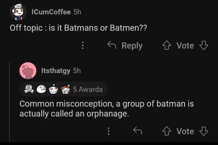 itsthatgy-5h-vote-5-awards-common-misconception-group-batman-is-actually-called-an-orphanage-vote.jpeg